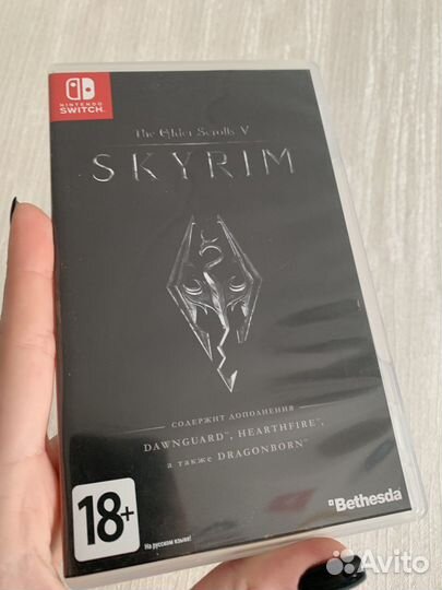 Nintendo switch Skyrim