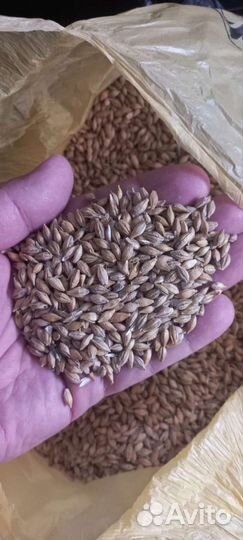 Агрохолдинг