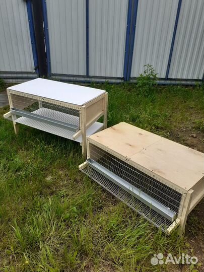 Клетки для перепелов