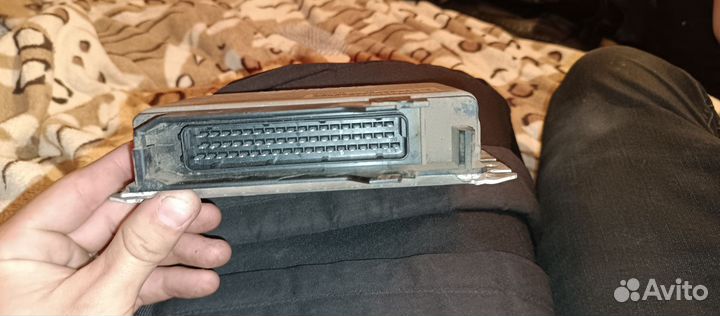 Эбу мозги