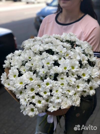 Хризантемы