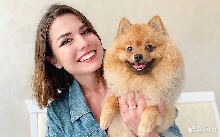 Грумер Стрижка собак и кошек