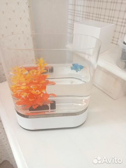 Аквариум мини