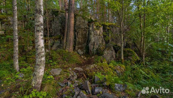 2.сен.23 Рускеала и Каменная Карелия /ка3039