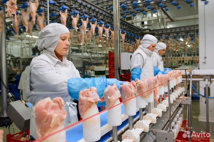 Вахтовый метод- Глазов- Удмуртская птицефабрика