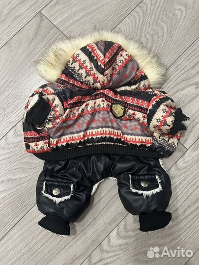 Одежда для маленьких пород собак