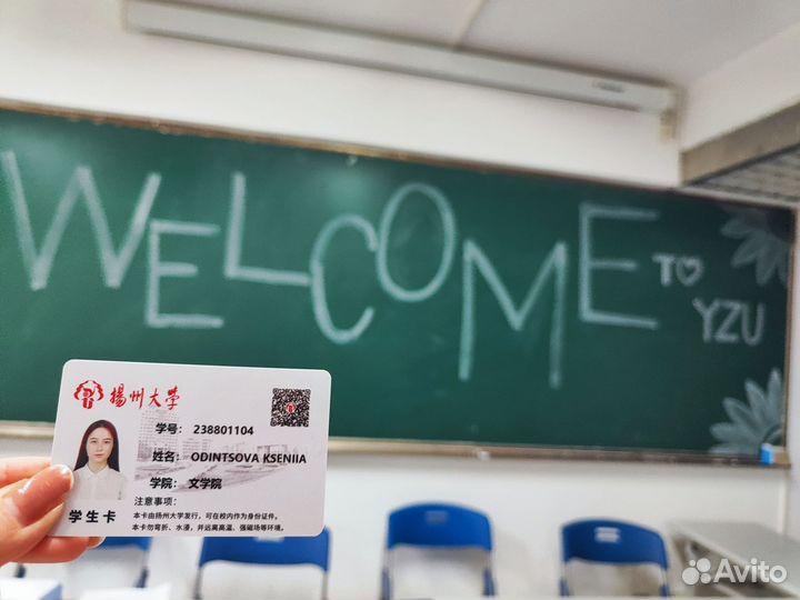 Китайский язык