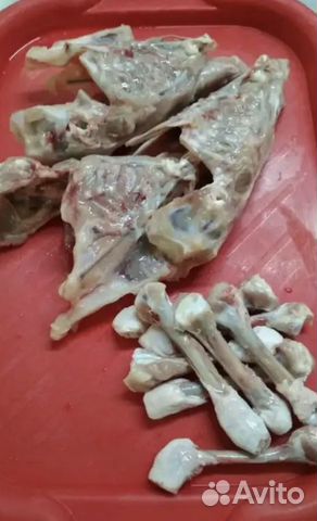 Куриные каркасы кости