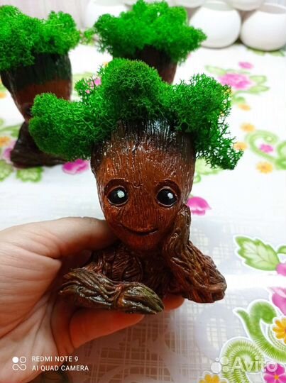 Кашпо со стабилизированным мхом 