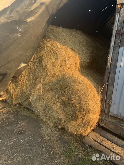 Сено луговое в тюках