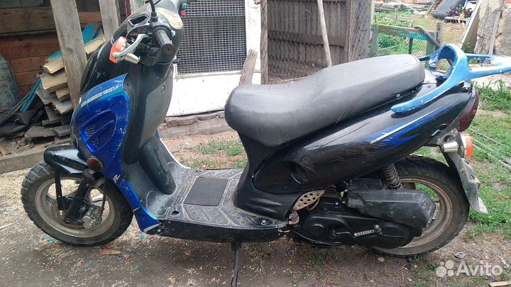 Рейсер Сагита