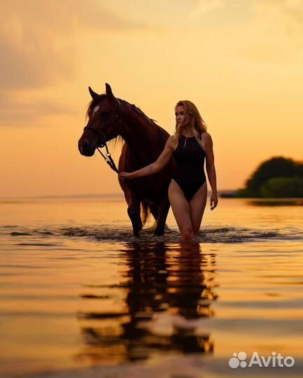 Конные прогулки и фотосессии в сосновке