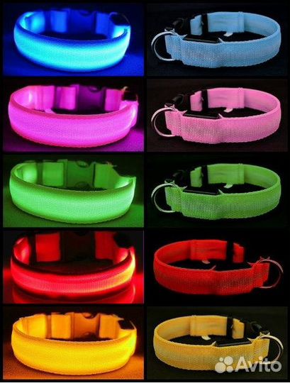 Светящиеся Ошейники