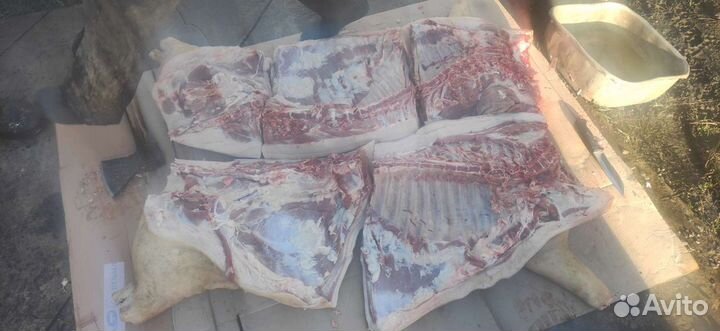 Мясо свинина