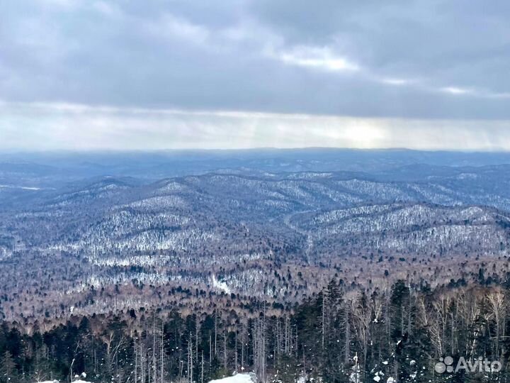 Тур выходного дня треккинг,хайкинг,дог-треккинг