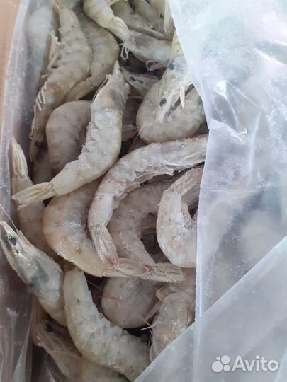 Икра горбуши