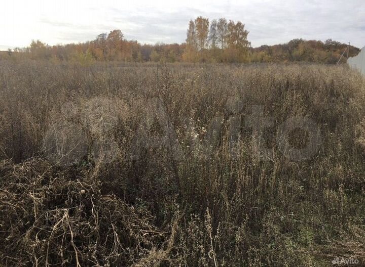 Участок 24 сот. (ИЖС)