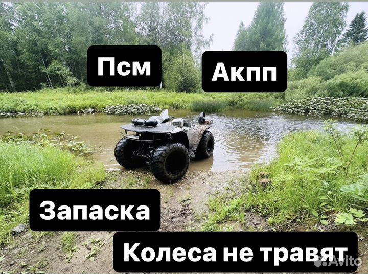 Болотоход с документами типа сокола,тритона