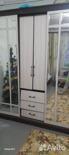 Шкаф купе Маэстро