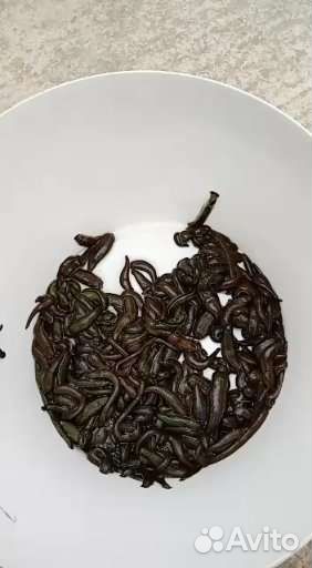 Пиявки медицинские