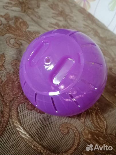 Шар для грызунов