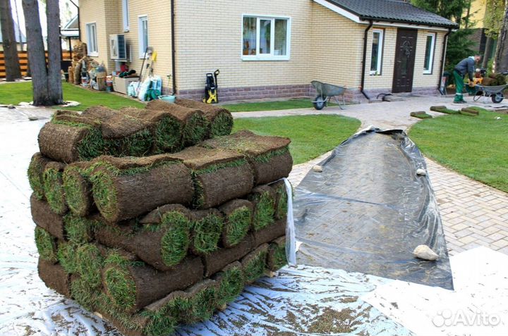 Газон рулонный гарантия