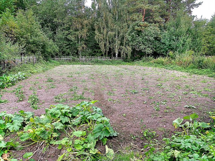 Коттедж 125,8 м² на участке 6 сот.