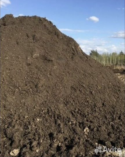 Приму грунт