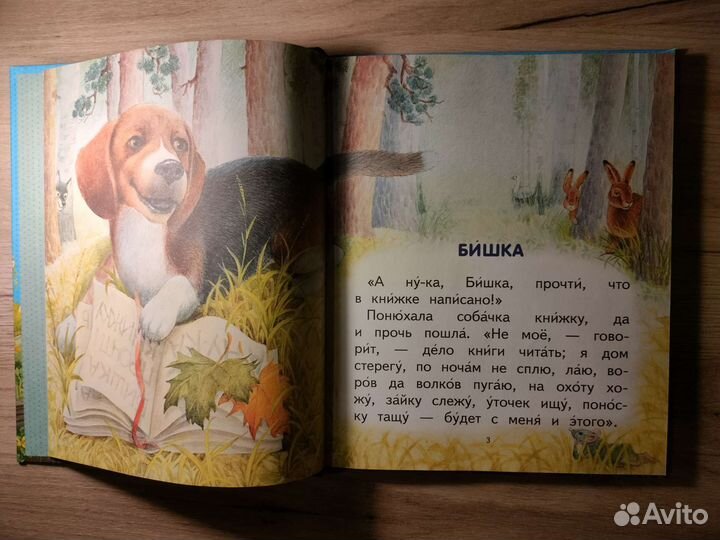 Книги Читаем сами