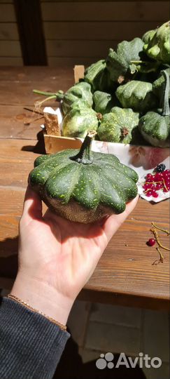 Декоративные тыквы