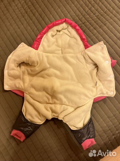 Костюм для собаки