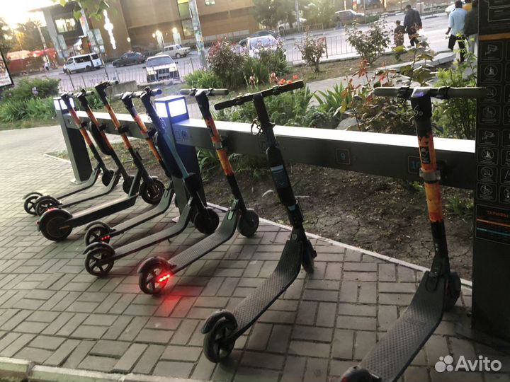 Готовый бизнес прокат самокатов