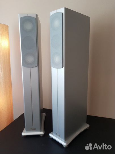 ASW cantius 404 white