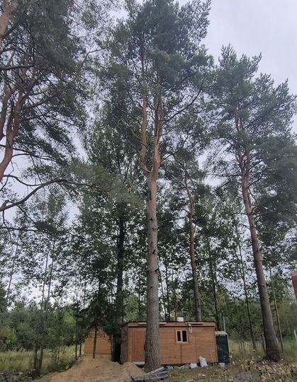 Участок 17,5 сот. (ИЖС)