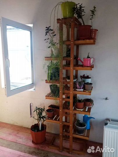 Деревянные полки