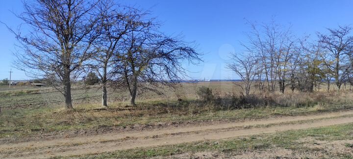 Участок 100 сот. (СНТ, ДНП)