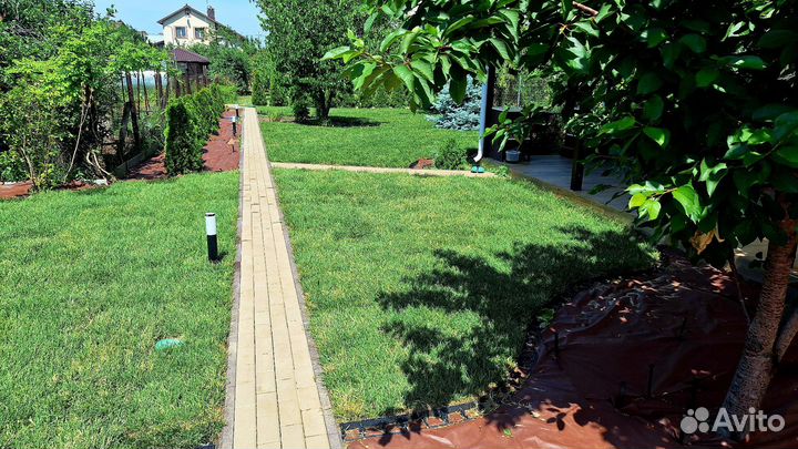 Газон рулонный