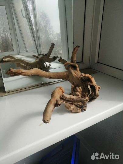 Коряги для террариума