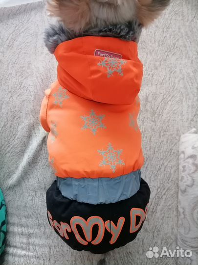 Зимний костюм для собак