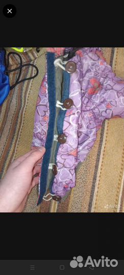 Собачья одежда, хорошая