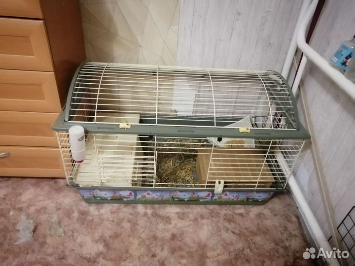 Клетка и вольер