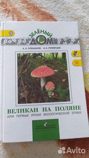 Великан на поляне