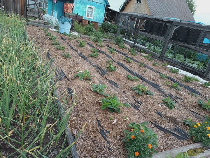 Дача 20 м² на участке 10 сот.