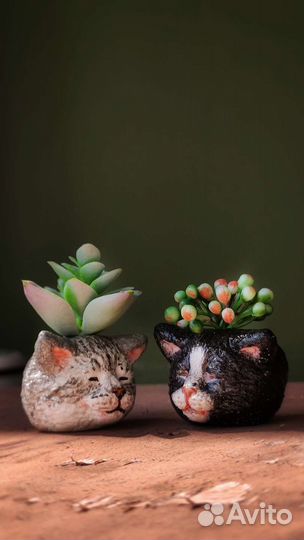 Кот кашпо по фото на заказ