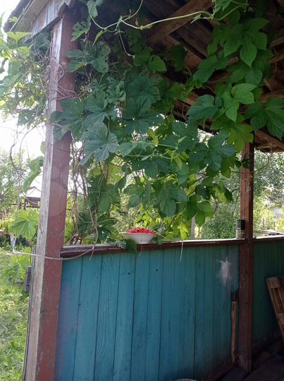 Участок 12 сот. (СНТ, ДНП)