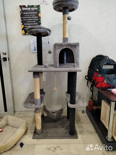 Домик для кошки с когтеточкой бу