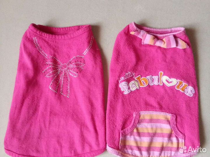 Одежда для мелких пород собак