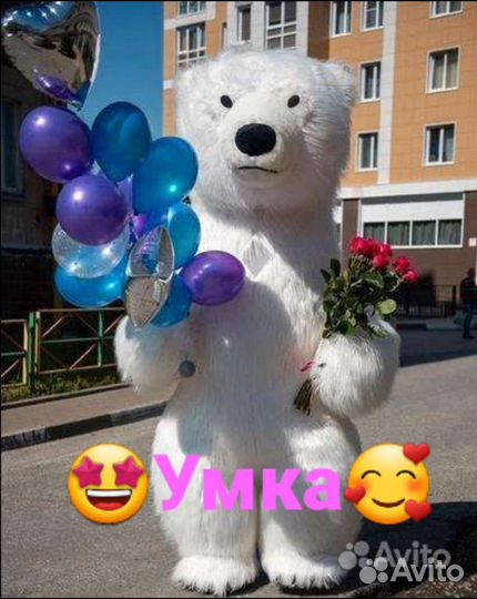 Экспресс-поздравление Белый мишка,Бурый