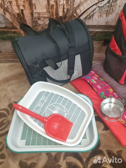 Переноска, лежанки, варежки для шерсти и др