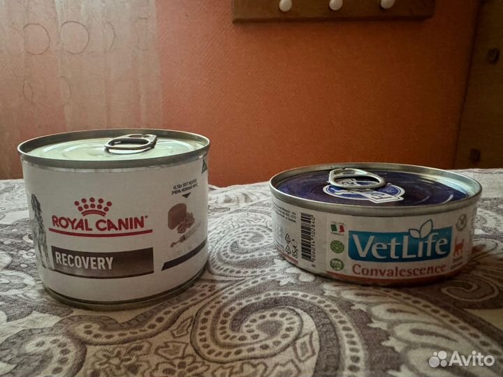 Корм для кошек royal canin